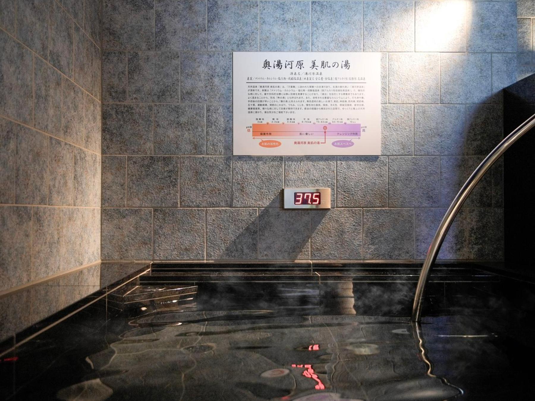 Super Hotel Premier Ikebukuro Natural Hot Spring Токио Екстериор снимка